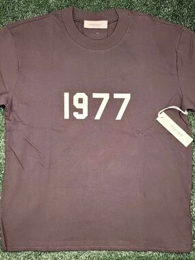 ESSENTIALS 1977 T-Shirt Short Sleeve T-Shirt in Brown NWT